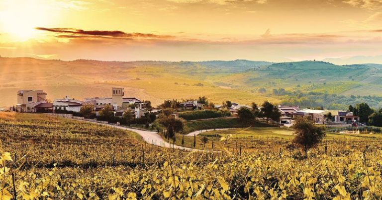 Zornitza Family Estate